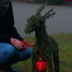 Natural Christmas decoration idea from 5-Minute Crafts on Instagram.