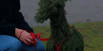 Natural Christmas decoration idea from 5-Minute Crafts on Instagram.