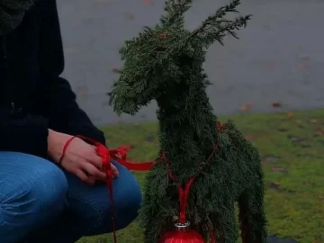 Natural Christmas decoration idea from 5-Minute Crafts on Instagram.