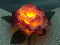 DIY flower tea light candle with floral decorations in a cozy setting.